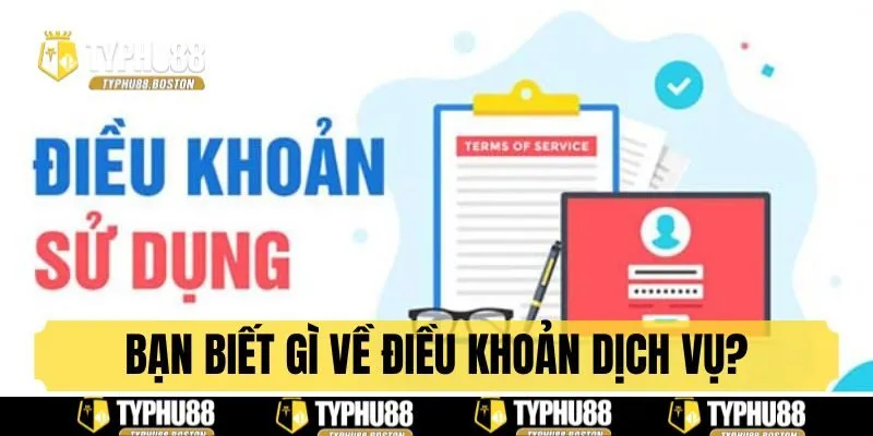 Bạn biết gì về điều khoản dịch vụ Typhu88?
