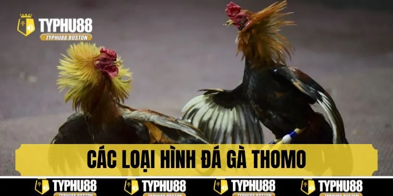 Hình thức cựa dao