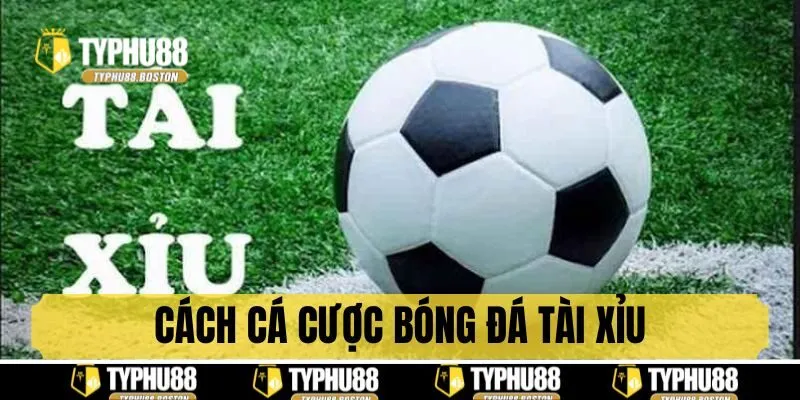 Bí kíp win cá cược bóng đá tài xỉu