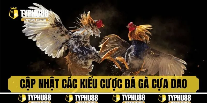 Cập nhật các kiểu cược của chọi gà cựa dao