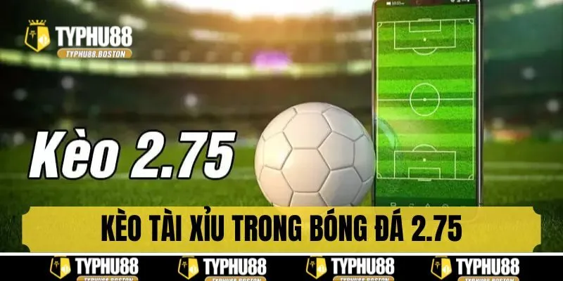 Cược tài xỉu trong bóng đá 2.5 trái