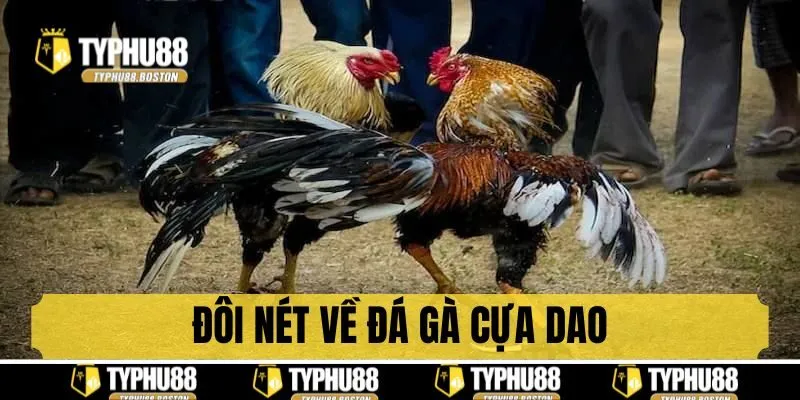 Đôi nét về đá gà cựa dao của Typhu88