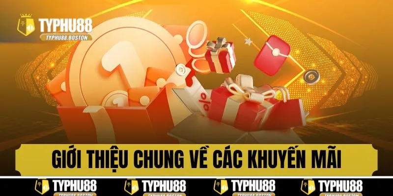 Giới thiệu chung về các khuyến mãi tại Typhu88