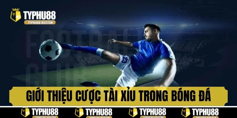 Giới thiệu về cược tài xỉu trong bóng đá