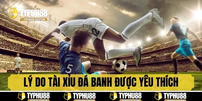 Cập nhật tin tức mới của trận đá thường xuyên