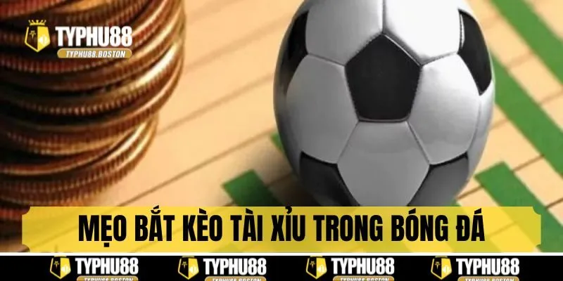 Bật mí mẹo cược tài xỉu thắng lớn liên tiếp