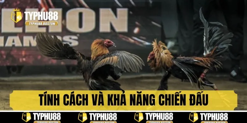 Tính cách chiến đấu và khả năng sinh tồn