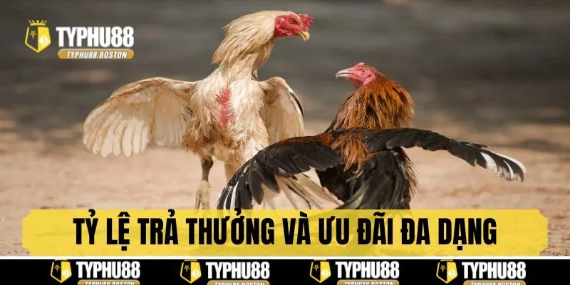 Tỷ lệ thưởng và ưu đãi đa dạng